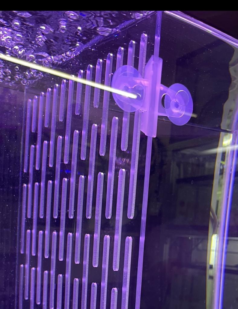 Polycarbonate aquarium dividers Austin Texas Discus